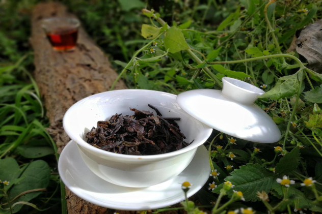 Why does the body sweat when drinking Pu'er tea (r